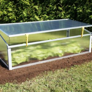 Year Round Cold Frame's feature image